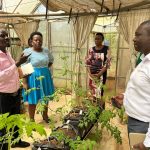 Unveiling the Horticulture and Orphan Crops Improvement Program